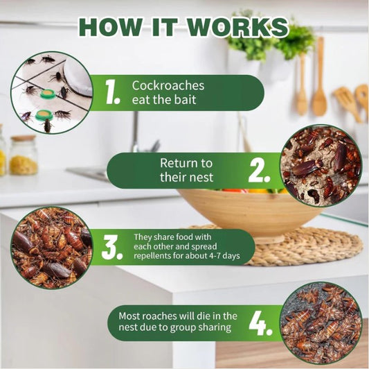 Cockroach Killer Gel | 🔥FLAT 50% OFF SAVING🔥